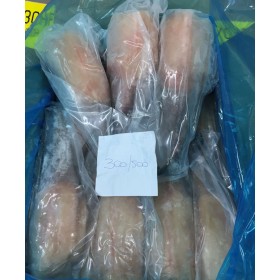 CODA RANA PESC   300/500